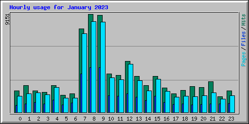 Hourly usage for January 2023