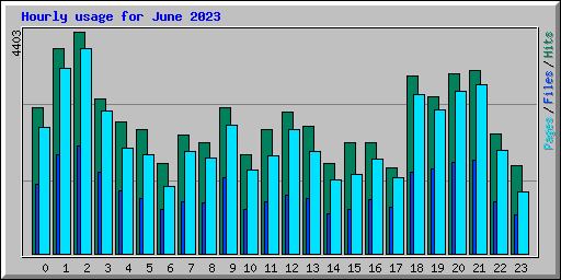 Hourly usage for June 2023