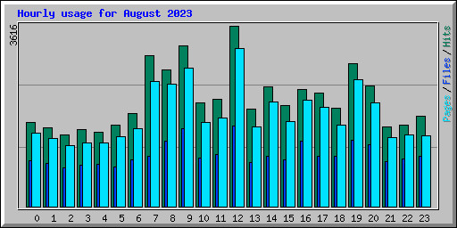 Hourly usage for August 2023