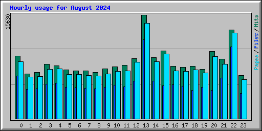 Hourly usage for August 2024