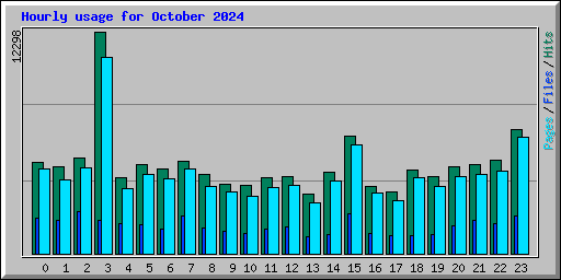 Hourly usage for October 2024