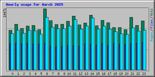 Hourly usage for March 2025