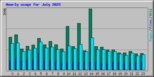Hourly usage for July 2025
