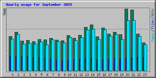 Hourly usage for September 2025