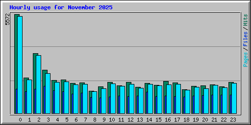 Hourly usage for November 2025