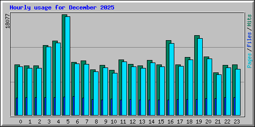 Hourly usage for December 2025