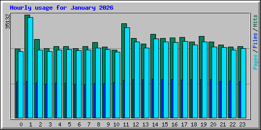 Hourly usage for January 2026