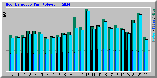 Hourly usage for February 2026