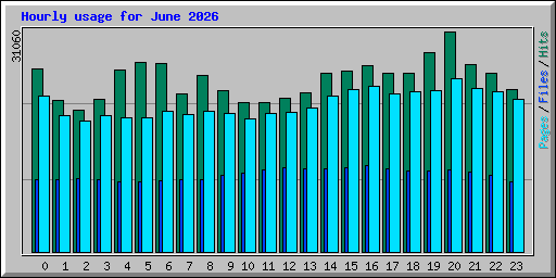 Hourly usage for June 2026