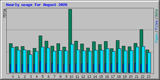 Hourly usage for August 2026